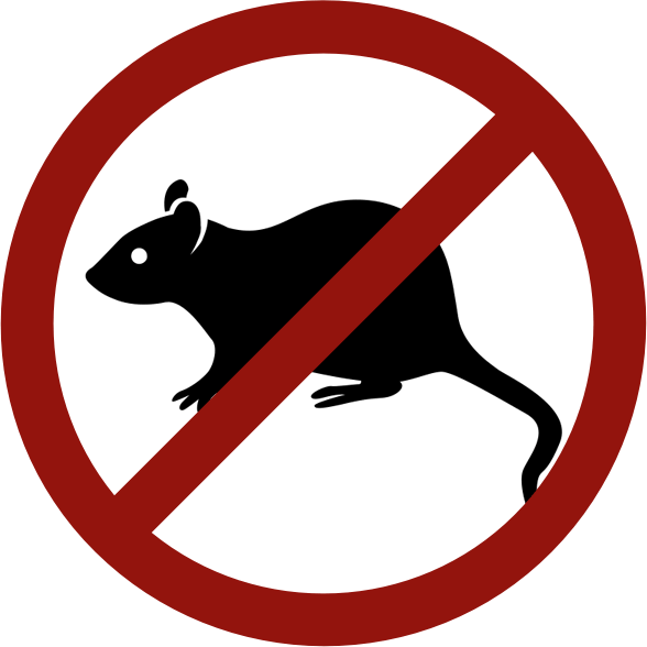 Rat Control - Angel Tube Station (588x588)