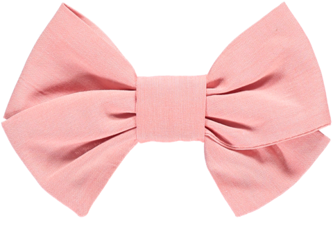 Salmon Linen Bow - Salmon (480x327)