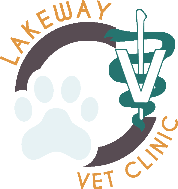 Bulding Clipart Veterinary Clinic - American Veterinary Medical Association (593x632)