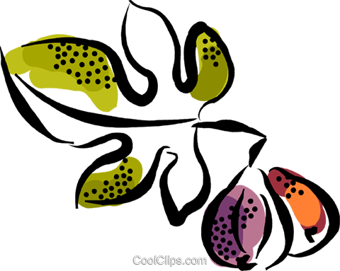 Figs Royalty Free Vector Clip Art Illustration - Figs Royalty Free Vector Clip Art Illustration (480x383)