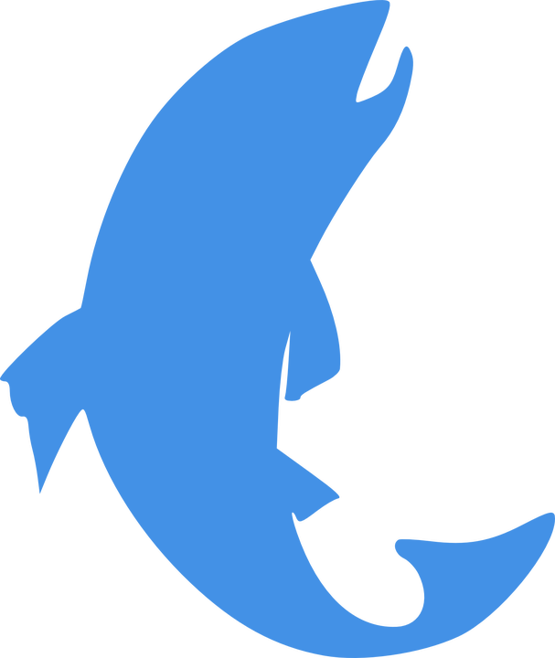 Informations Accueil Des Pêcheurs - Silhouette Fish Clipart Black And White (607x720)