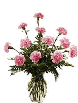Order Now - Carnations Pink (350x390)