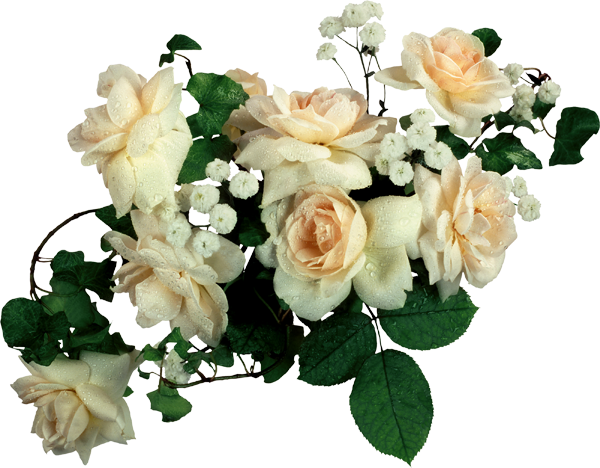 White Roses - Psd Frames For Photoshop Free (600x468)