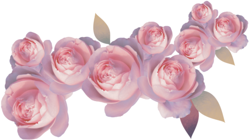Transparent Flower Crown Red What - Png Flowers (500x324)