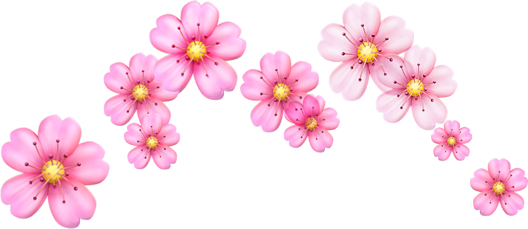 Crown Crownflower Flower Flowercrown Cherry Cherrybloss - Crown Crownflower Flower Flowercrown Cherry Cherrybloss (1803x782)