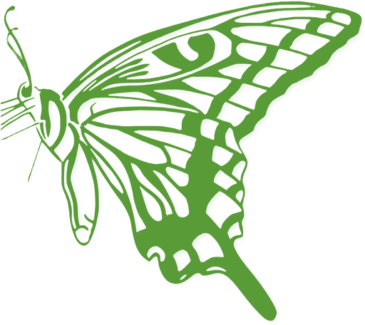 Vacancy For An Entomologist - Santa Barbara Tax Products Group (512x512)