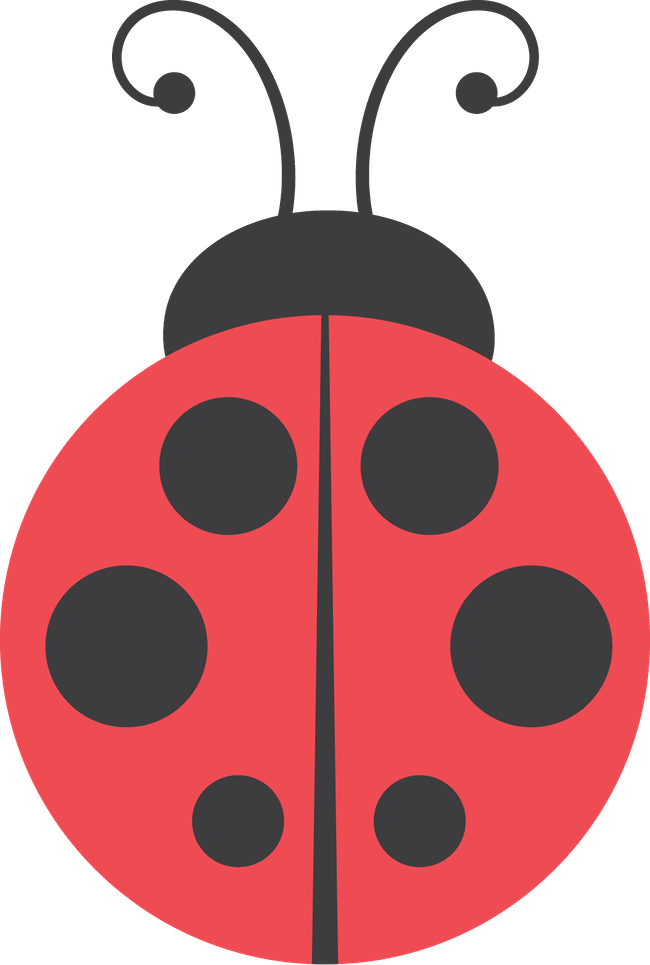 Joaninhas - Minus - Ladybug Clipart Transparent Background (650x965)