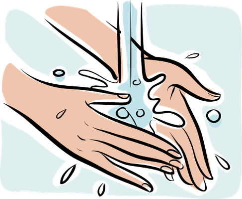 Person Washing Hands, Close Up Of Hands Health And - Washing Hands Illustration (487x399)
