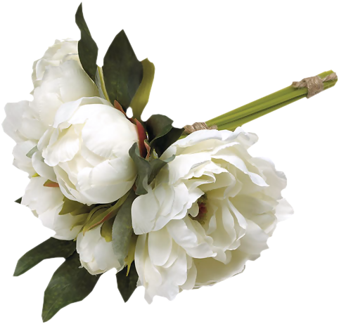 White Peonies - Newborn Angels (482x461)