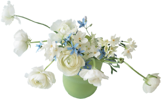 Index Of - White Flowers Vase Png (590x370)