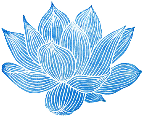 Transparent Lotus Flower - Lotus Flower Transparent (464x378)