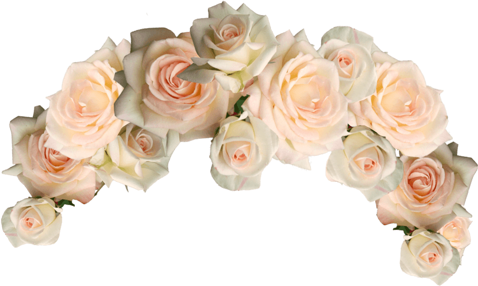 Cut Flowers Garden Roses Wreath - White Flower Crown Png (1084x650)