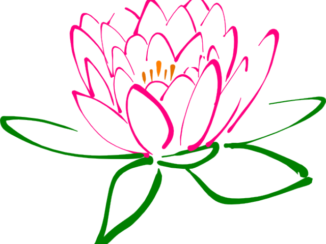 Flower Clipart Pink Lotus - Spa Clipart (640x480)