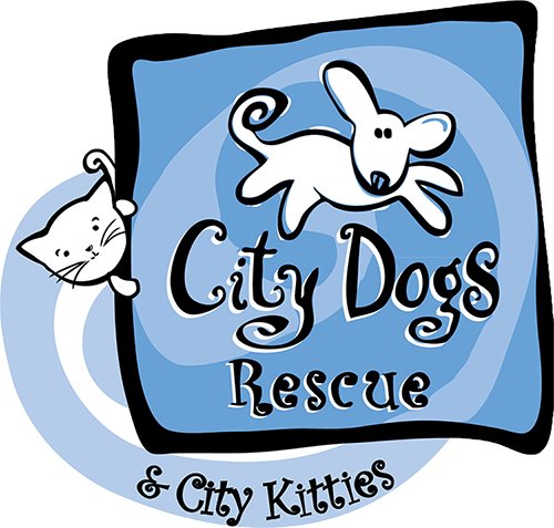 9pm Studios Lends Support To City Dogs Rescue & City - City Dogs Rescue Square Car Magnet 3" X 3&quo (977x1000)