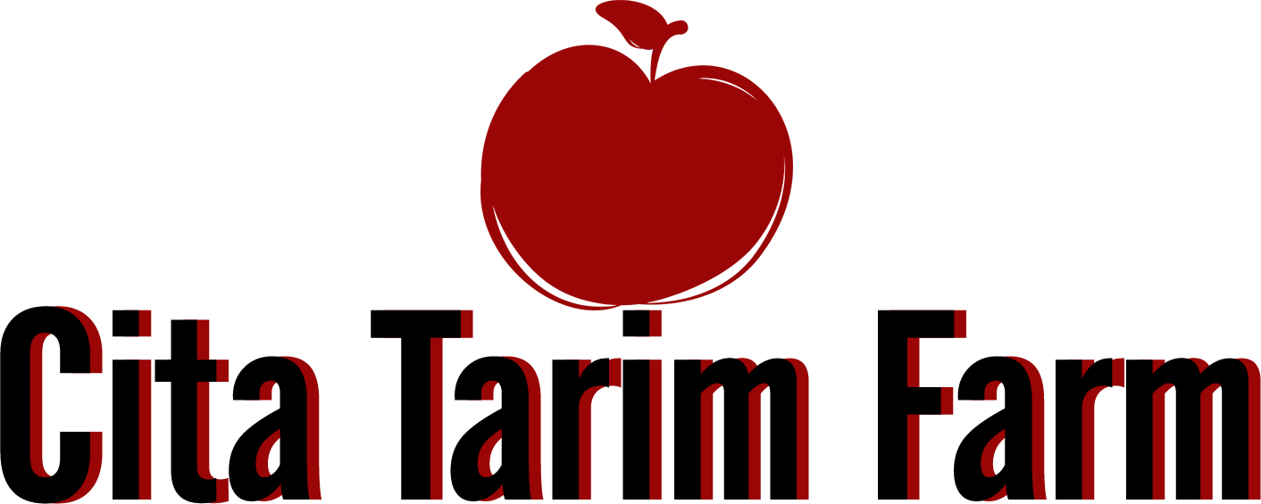 We Are Family Owned And Multi-generational With Time - Tarim (1412x565)