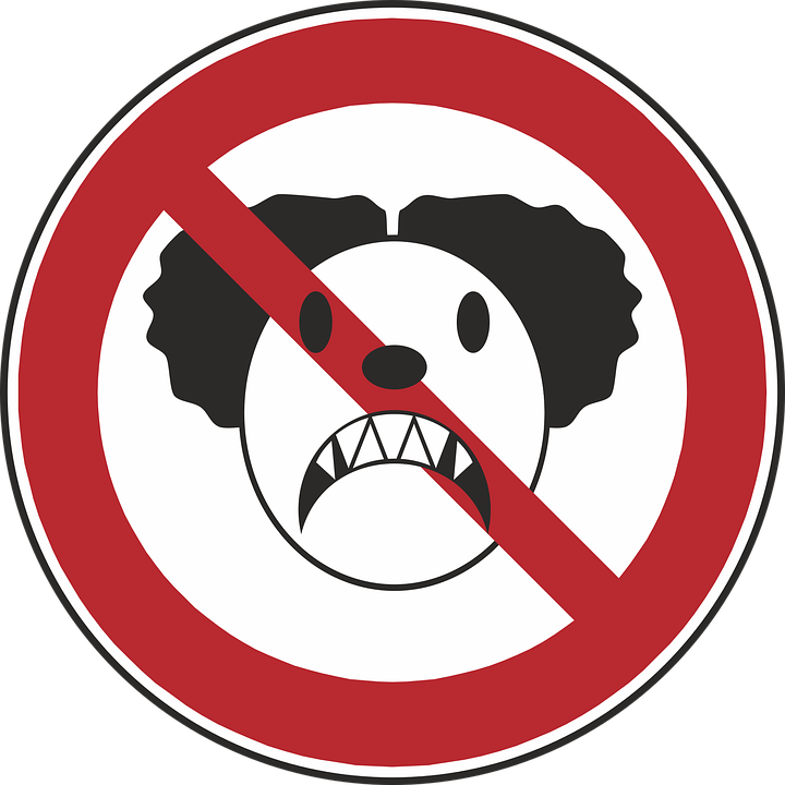 Horror Clipart - Clown Horror Sfondo Trasparente (720x720)