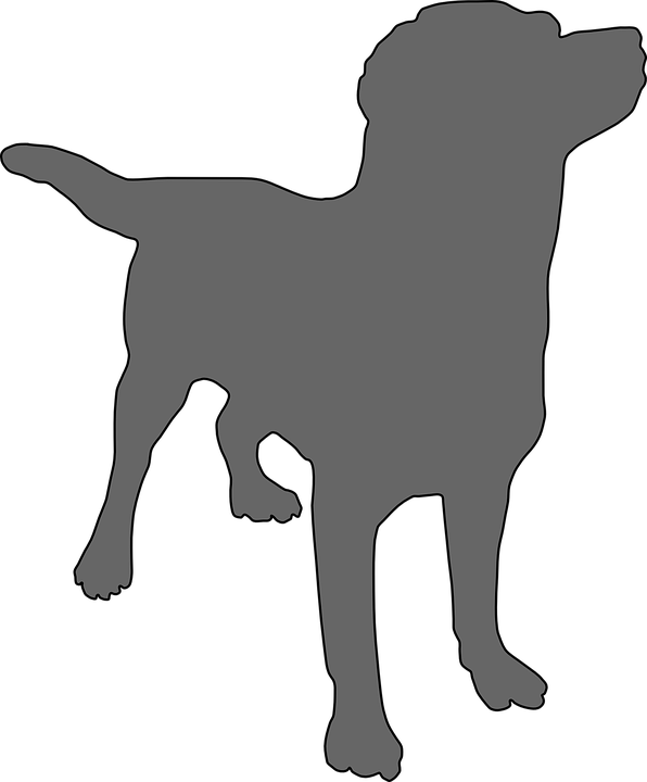 Collection Of Domestic Dog Cliparts - Dog Clipart Transparent Background (596x720)