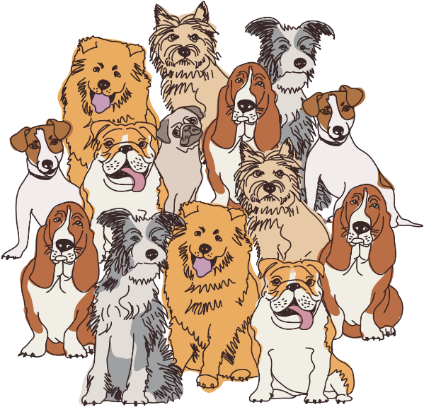 Why Is There Palm-oil In My Dog's Food - Why Is There Palm-oil In My Dog's Food (650x650)