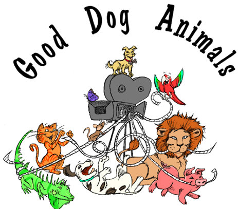 Good Dog Animals - Critters (500x427)