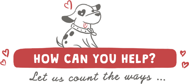 As A Shelterless Rescue, We Rely Heavily On The Generosity - Volunteer For Dog Rescue (608x272)
