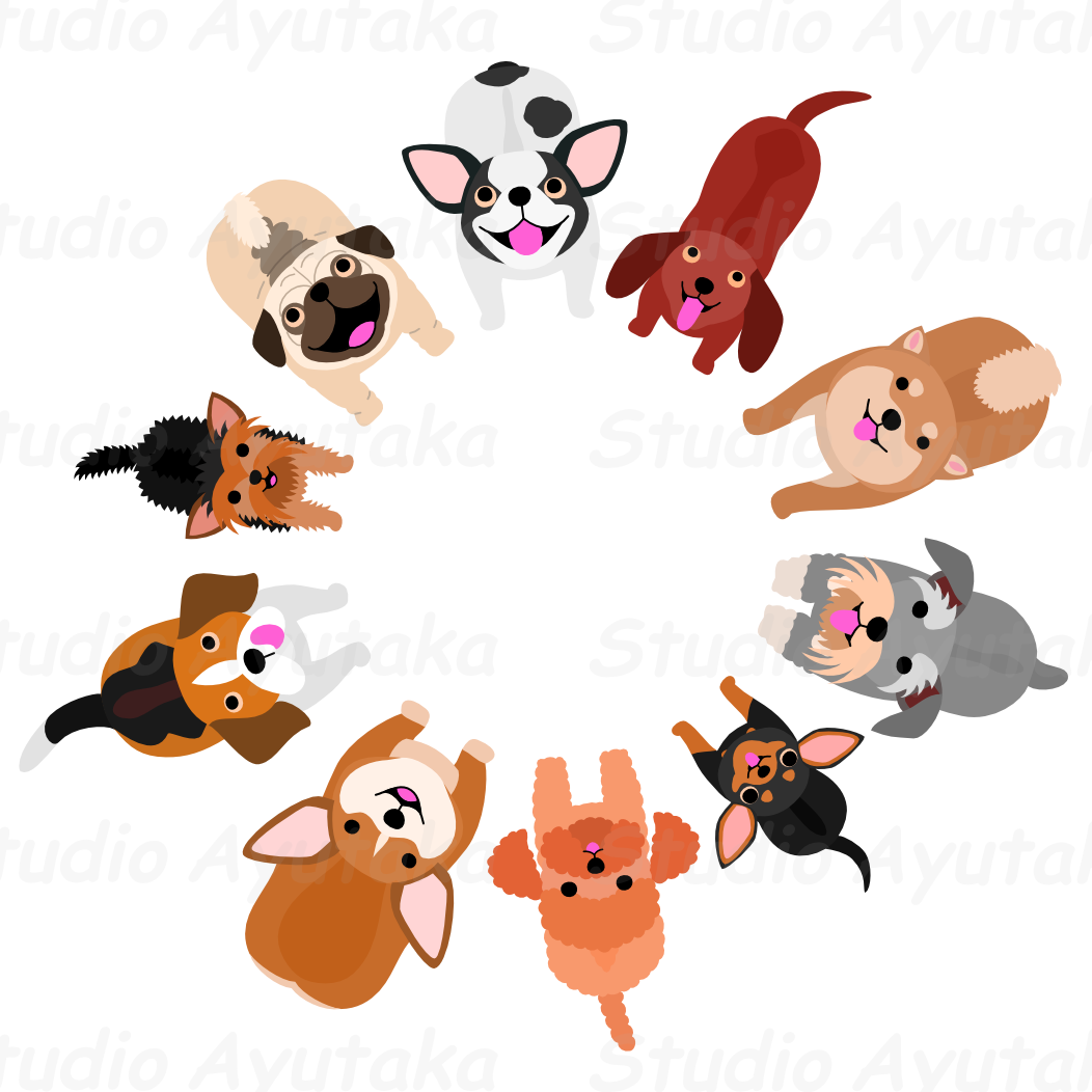 Standing Small Dogs Looking Up Circle Studio Ayutaka - Dog (1052x1052)