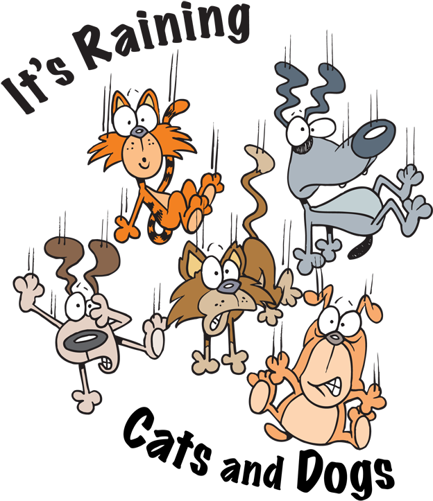 It's Raining Cats And Dogs Metaphor (630x750)