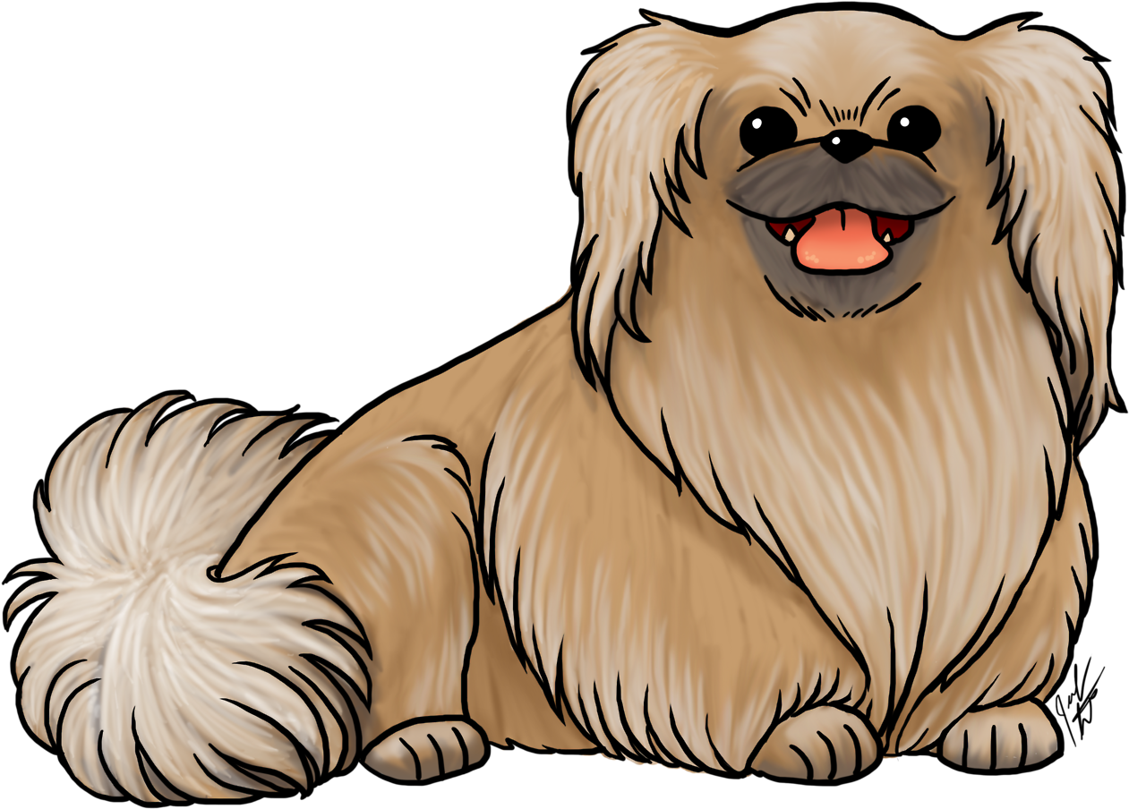 Breed Of The Month Is The Pekingese Check Out All The - Pekingese (1280x916)