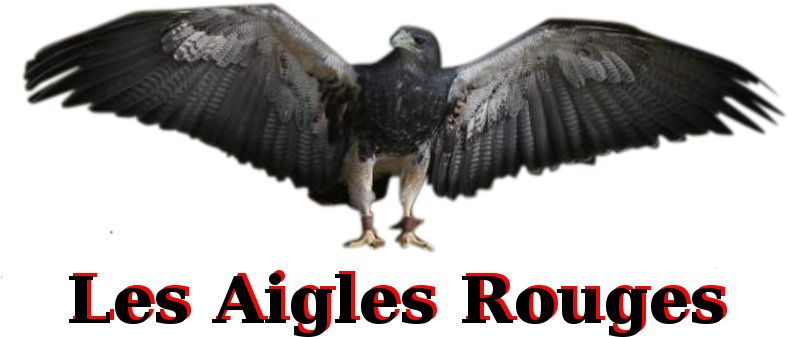 Les Aigles Rouges Index Du Forum - Red-tailed Hawk (800x343)
