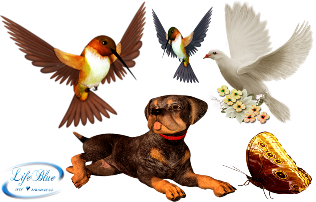 Png By Lifeblue - Clip Art (1024x656)