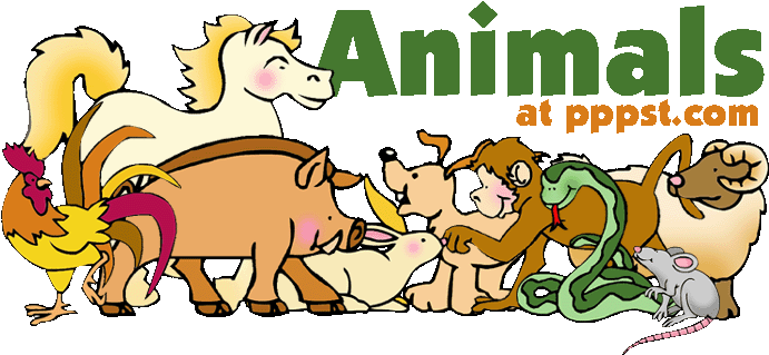 Free Presentations In Powerpoint Format & Interactive - Adaptación De Los Seres Vivos (709x365)