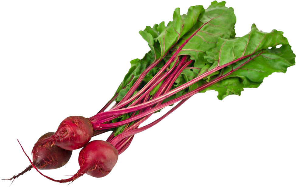 Beet Png - Notes & Recipes-cooking Well Doesn't Mean Cooking (974x616)