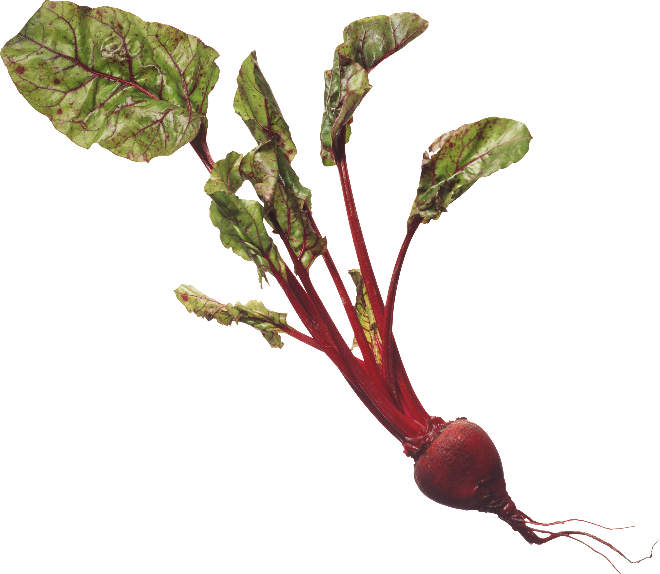 Beet Png - Beauty & The Beats - Cd (2606x2266)