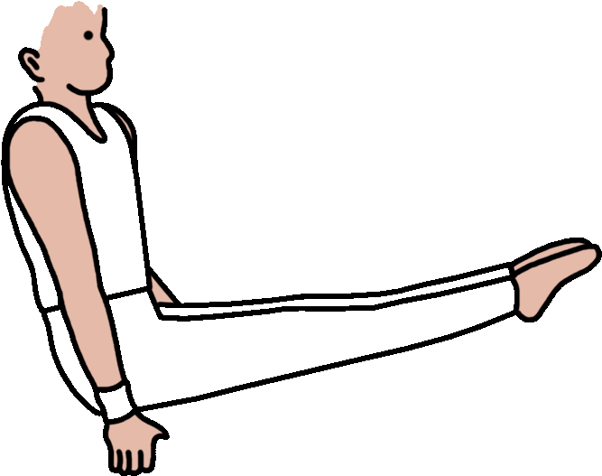 Choose Options From The Dropdown Menus Beneath The - Choose Options From The Dropdown Menus Beneath The (763x763)