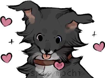 Border Collie (479x319)