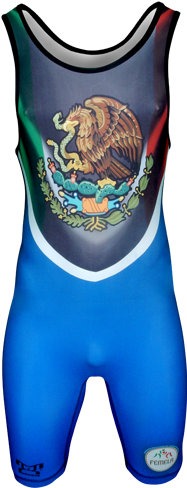 Mexico Coa 13" Laptop Sleeve (500x500)