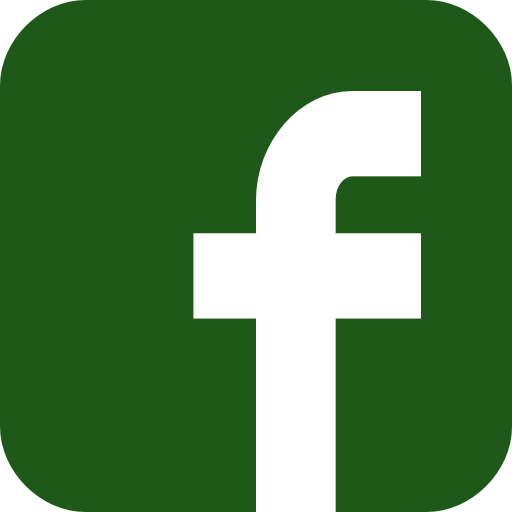 Facebook - Twitter - Instagram - Pinterest - Facebook Logo Vector Orange (512x512)