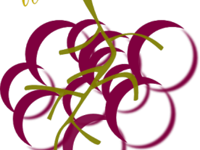 Vineyard Clipart Transparent - Wine Grapes Clipart (640x480)