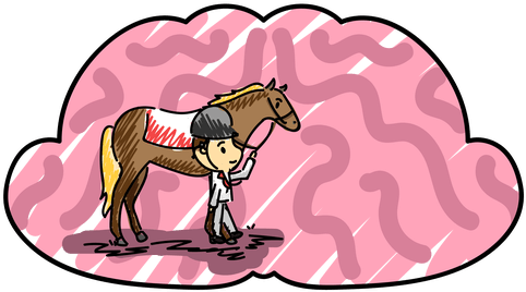 The Rider Is The Rational Part Of The Mind - Cartoon (500x300)