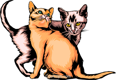 Baby Kittens Royalty Free Vector Clip Art Illustration - Panleukopenia Patogenesis (480x330)
