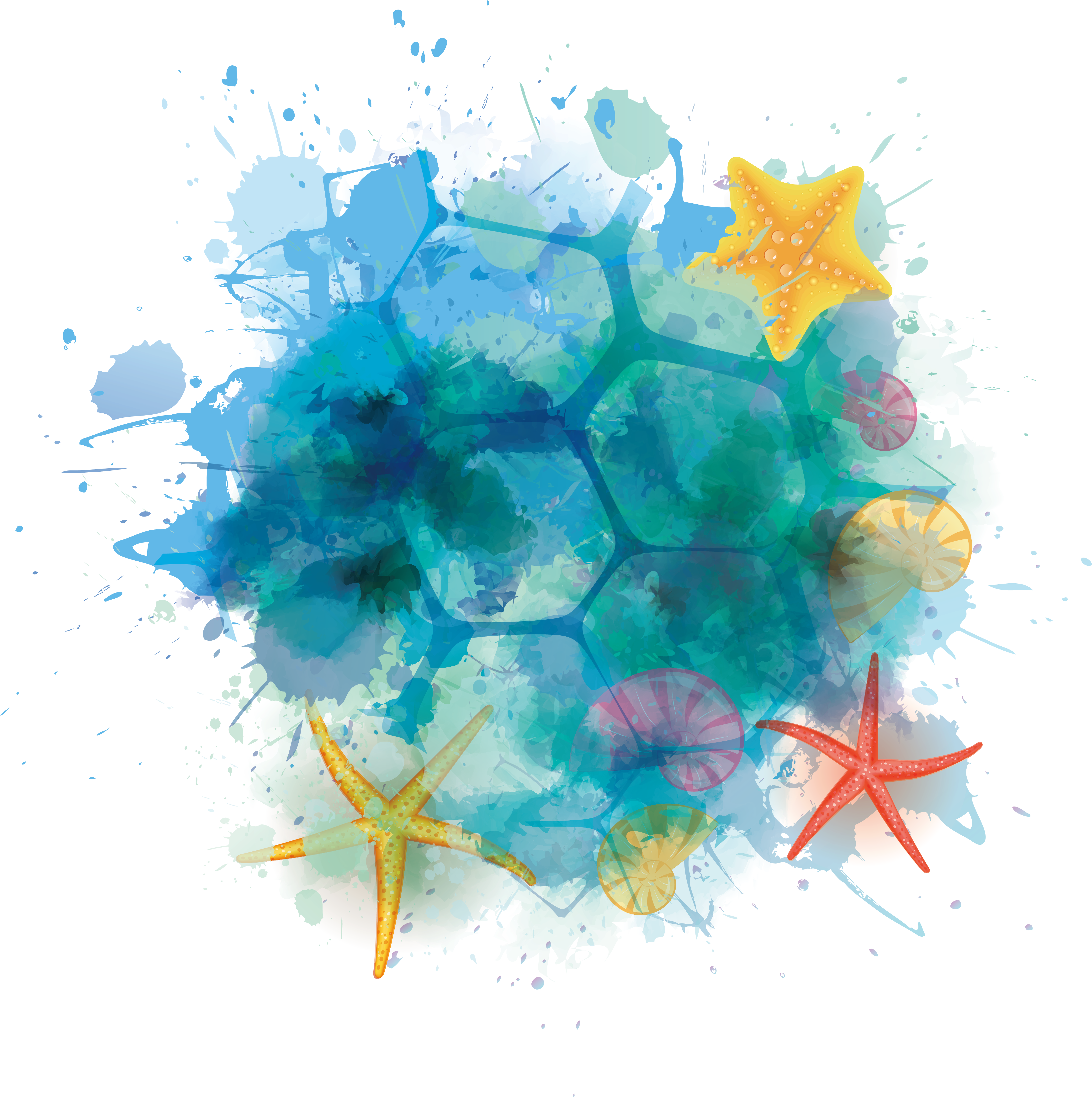 Summer Euclidean Vector Clip Art - Estrella De Mar Acuarela Png (5000x5000)