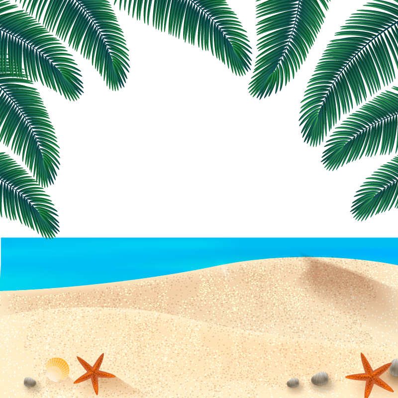 Euclidean Vector Beach - Summer Sand Vector Png (800x800)