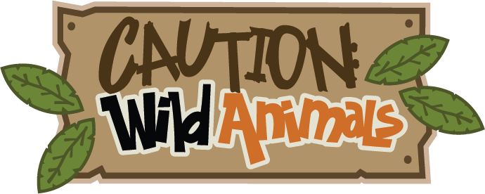 Wild Animals Svg Scrapbook Title Zoo Svg Files Zoo - Wild Animals Scrapbook (690x276)