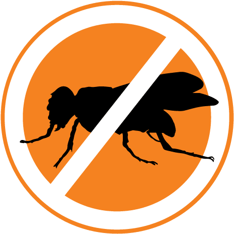 Flies Pose A Major Risk To Businesses In Adelaide, - Cafepress Square Sticker 3 X Bumper Car Decal X3 Small (500x496)