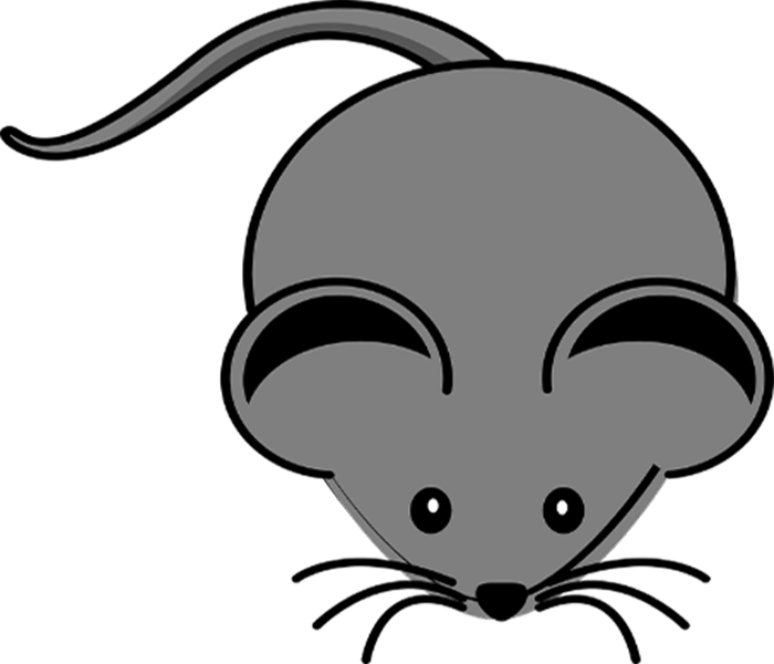 Mouse - Mouse Clip Art Png (700x600)
