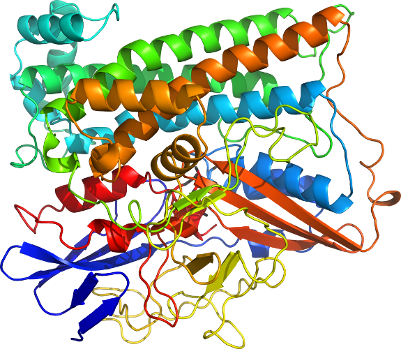 D6g94k In Context Of Chain - D6g94k In Context Of Chain (575x500)
