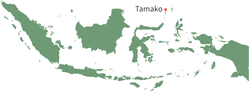 Urgent Action Fund In Our Bones Report - Indonesia Maps Sticker (900x400)