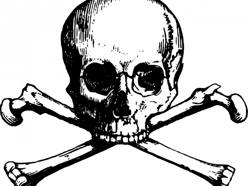 Download Breathtaking Skull And Bones Pictures Free - Download Breathtaking Skull And Bones Pictures Free (800x600)