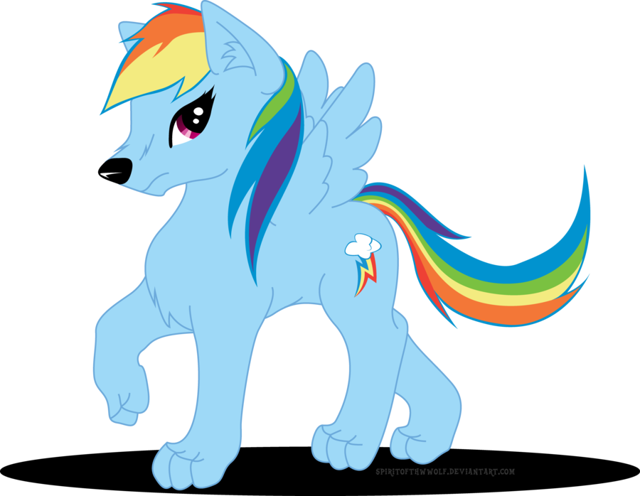Funny Rainbow Dash Faces - My Little Pony Wolf (900x698)