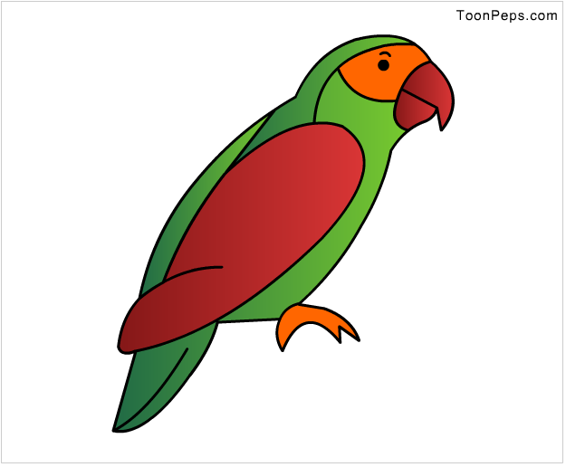 How To Draw How To Draw A Parrot For Kids Hellokidscom - Drawing (625x516)