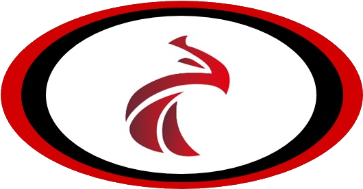 Falcon Racing Logo, Falcon Rowing, Falcon Racing Shells, - Rowing (536x282)